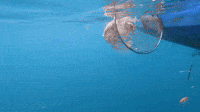 4Ocean