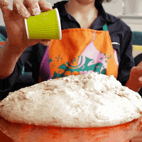 sourdoughdisco disco sourdough GIF