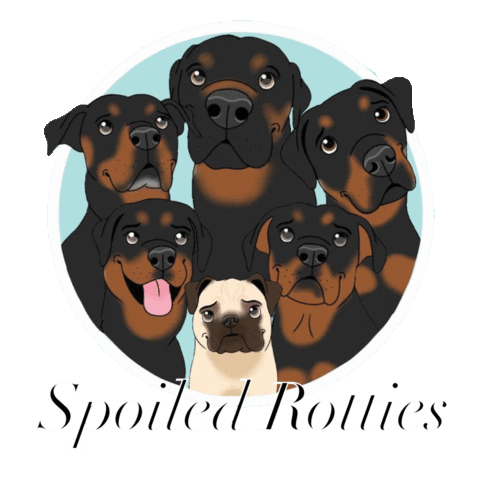 Rescue Dog Sticker by MeganWargula