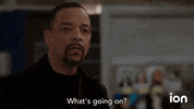 Law And Order Svu GIF by ION