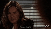Law And Order Svu GIF by ION