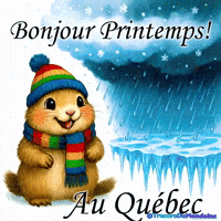 Blizzard Happy Spring GIF by TresorsDuMonde.ca