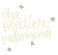 Palomino Sticker by Molly Virginia Morris Photography