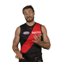 Dons Bombers Sticker by Essendon FC