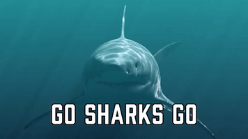Go Sharks Go