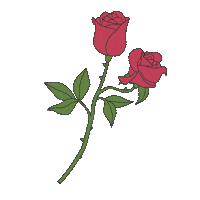 flowers love Sticker by HOKK FABRICA