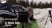 nat geo wild yukon vet GIF by Dr. Oakley, Yukon Vet