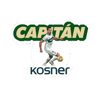 Elchecf Bigas Sticker by Kosner Climatización