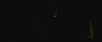 Lucio Fulci GIF by Coolidge Corner Theatre