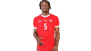 Switzerland Bryan Sticker by Swiss Football Association
