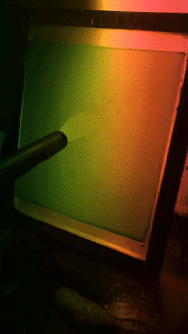 pollyju  GIF