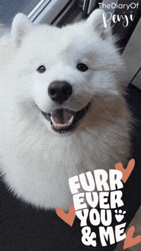 For Ever Love GIF