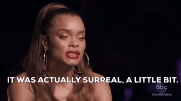 Abc Finale GIF by Soul of a Nation