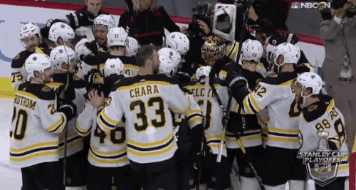 happy ice hockey GIF by NHL