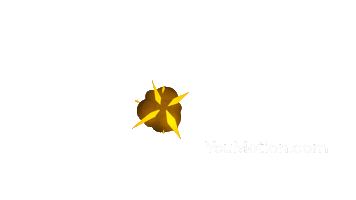 Animation Star Sticker by youmotion.com