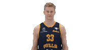 Basketball Hoops Sticker by Basket_fi