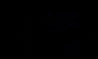 Nest Jafra GIF by Jafra Productions