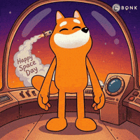 Flying Rocket Ship GIF by BONK