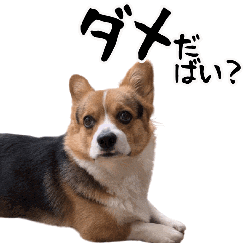Corgi Milo Sticker
