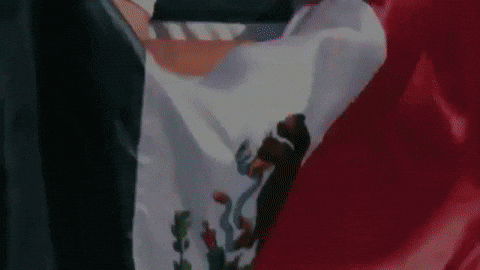 GIF by MiSelecciónMX