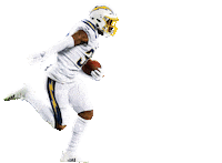 Los Angeles Football Sticker by NFL