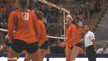 volleyball clemsonvb GIF by Clemson Tigers