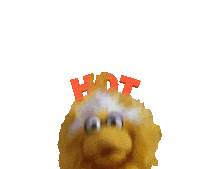 Sesame Street Sticker Sticker by Bell Brothers