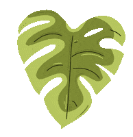 Cheese Plant Sticker by Moesha Kellaway