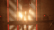 Utah Utes Softball GIF by NCAA Championships