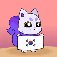 K-Pop Flag GIF by Lucky Kat Studios