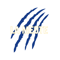 SaintAmandHandball lameute sahph saintamandhandball leslouves Sticker