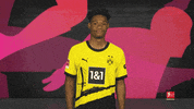 Borussia Dortmund Hello GIF by Bundesliga