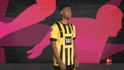 Football Sport GIF by Bundesliga