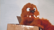 Hungry Nom Nom GIF by Fluffy Friends