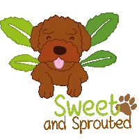 Eat Healthy Sugar Free Sticker by Sweet & Sprouted