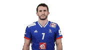 Celebrating France Sticker by EHF