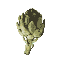 cynararg love like julep alcachofa Sticker