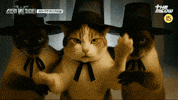 틴더스 GIF