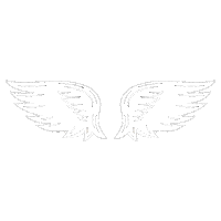 Angels Wings Sticker