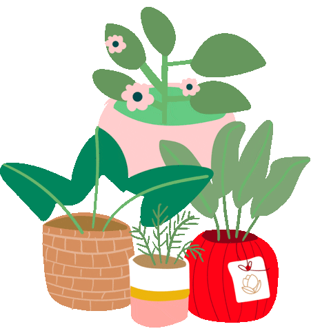 Flores Planta Sticker by elceibovivero