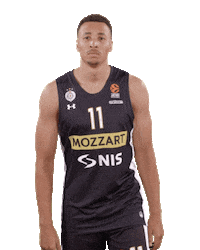 Partizan Sticker by sportmts