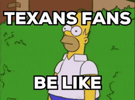 Houston Texans Nfl GIF by Respective