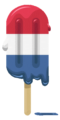 Celebrate Independence Day Sticker by University of South Carolina