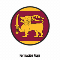Sri Lanka Flag GIF by Formación Ninja