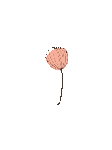 PappasPipedream giphyupload flower charly charlybarley Sticker