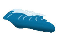 Summer Wing Sticker by hkwindsurfing