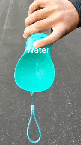 lisaportelli giphyupload GIF