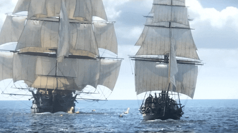 Black Flag Fighting GIF by Assassin's Creed
