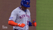 New York Mets Sport GIF by MLB