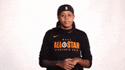 all star what GIF by WNBA